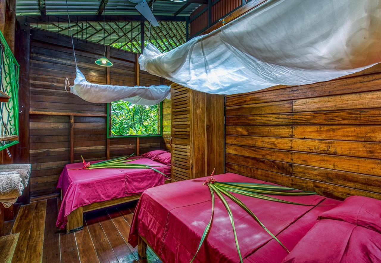 Congo Bongo Ecovillage Costa Rica Puerto Viejo de Talamanca Exterior foto